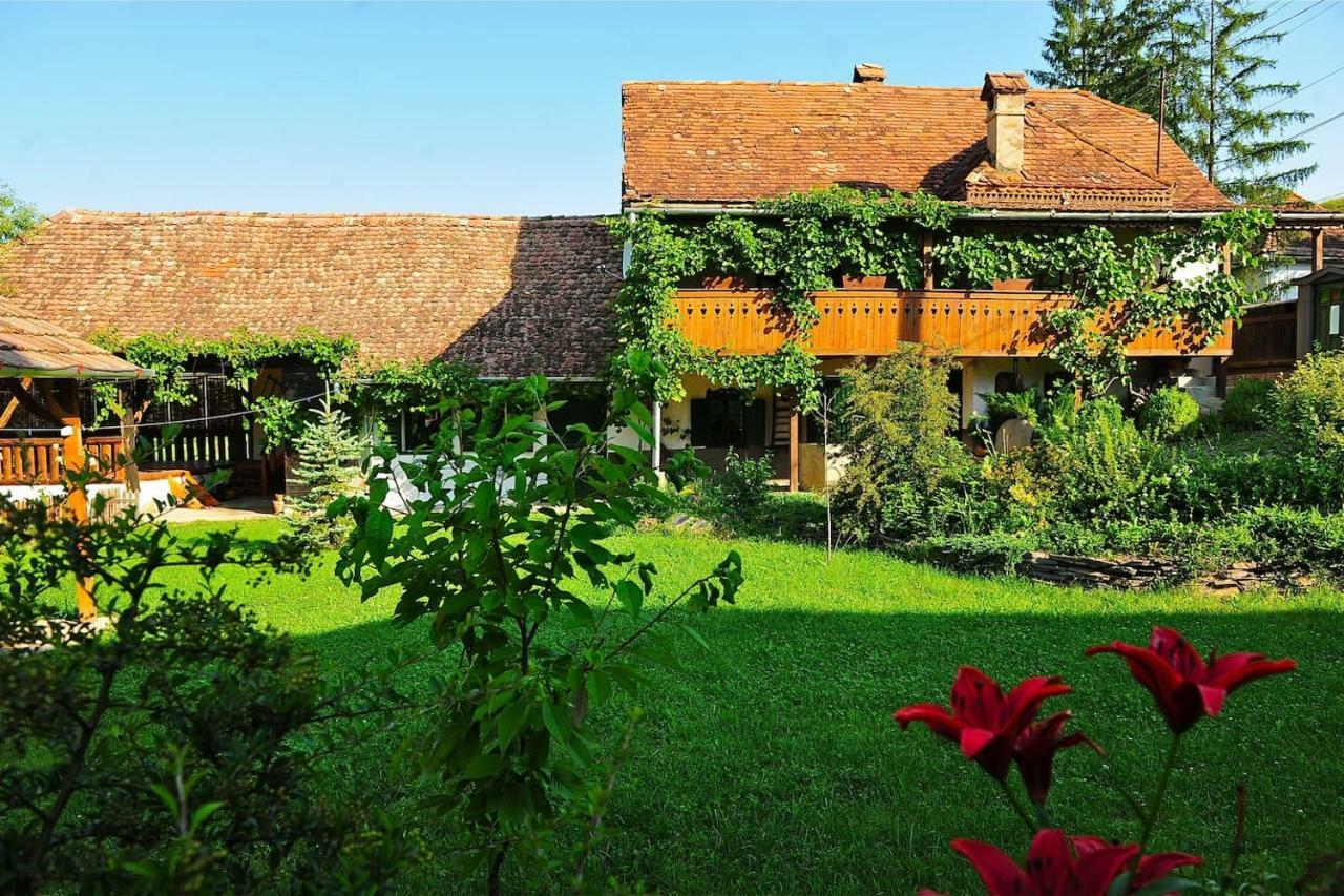 Transylvanian Country House Vetca Eksteriør bilde